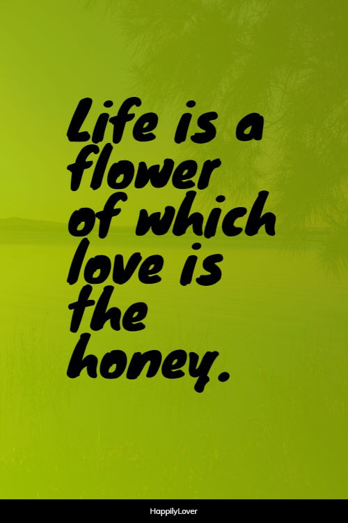 lovely new love quotes