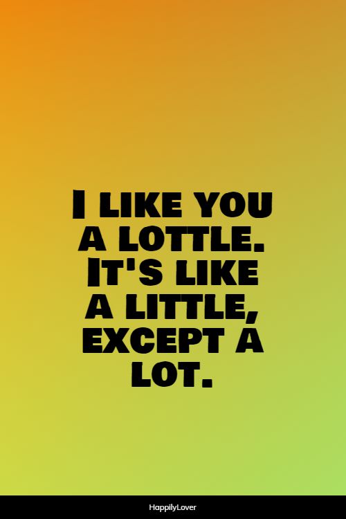 150+ Best I Like You Quotes - Happily Lover