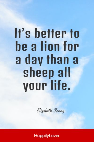 brave lion quotes