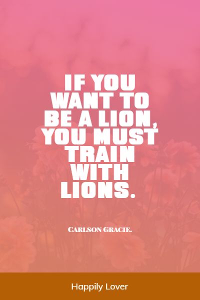 lion quotes