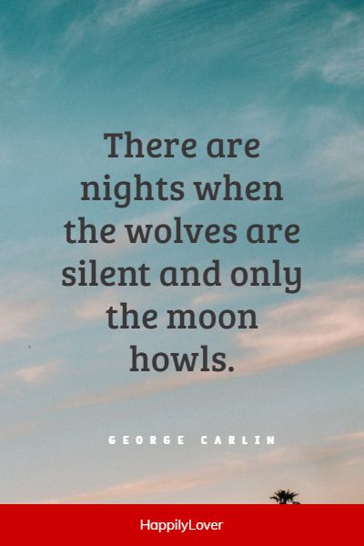 best wolf quotes