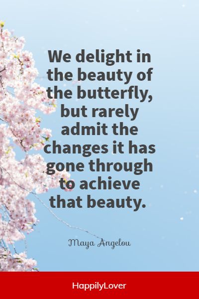 wise maya angelou quotes