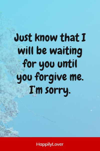 I Am Sorry Quotes and Messages For Him (Boyfriend Or Husband) - Happily ...