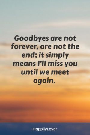 112+ Goodbye Quotes For Friends & Farewell Messages - Happily Lover