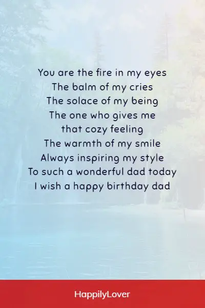 heartwarming birthday poems for dad